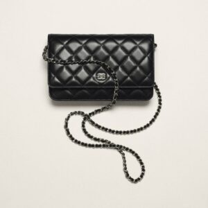 Replica Designer Bag Chanel bag CLASSIC WALLET ON CHAIN
