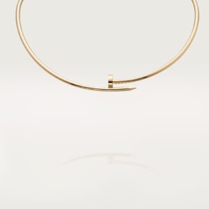 Cartier Juste un Clou necklace