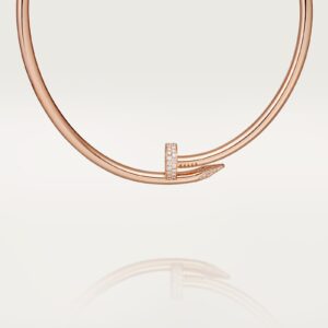 Cartier Juste un Clou necklace