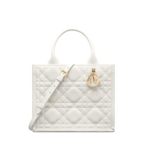 Replica Designer Bag Dior Small Book Tote
