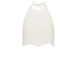 Dioriviera Backless Cropped Top Ecru Toile de Jouy Soleil Technical Cotton Lace