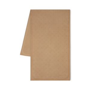 Louis Vuitton LV Spotlight Stole