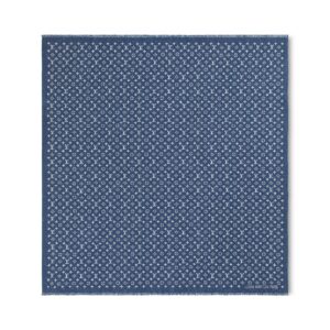 Louis Vuitton My Daily Denim Shawl