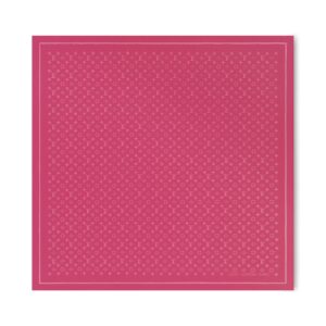 Louis Vuitton Shadowgram Shawl