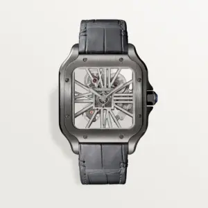 Santos de Cartier skeleton Watch WHSA0009