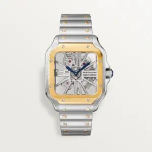 Santos de Cartier skeleton Watch WHSA0019