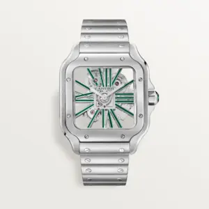 Santos de Cartier skeleton Watch WHSA0028