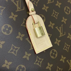replica bag louis vuitton petit palais m45900 wsxc1736122387301 4